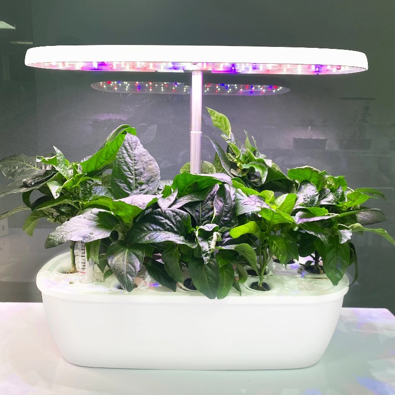 Smart Garden Design - Sistema de Jardim Hidropônico Eletrônico Inteligente