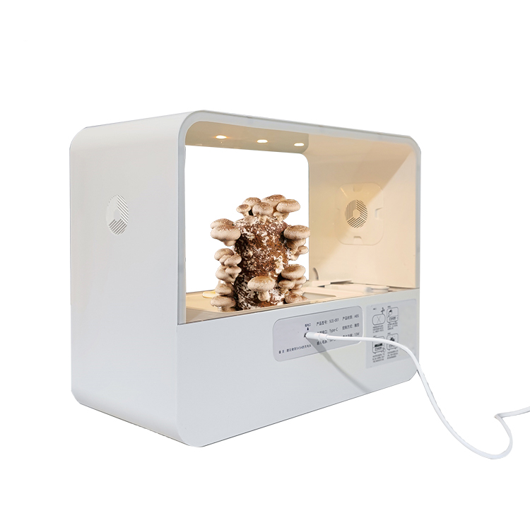 Smart Garden Design - Novo design mini plantador de cogumelos