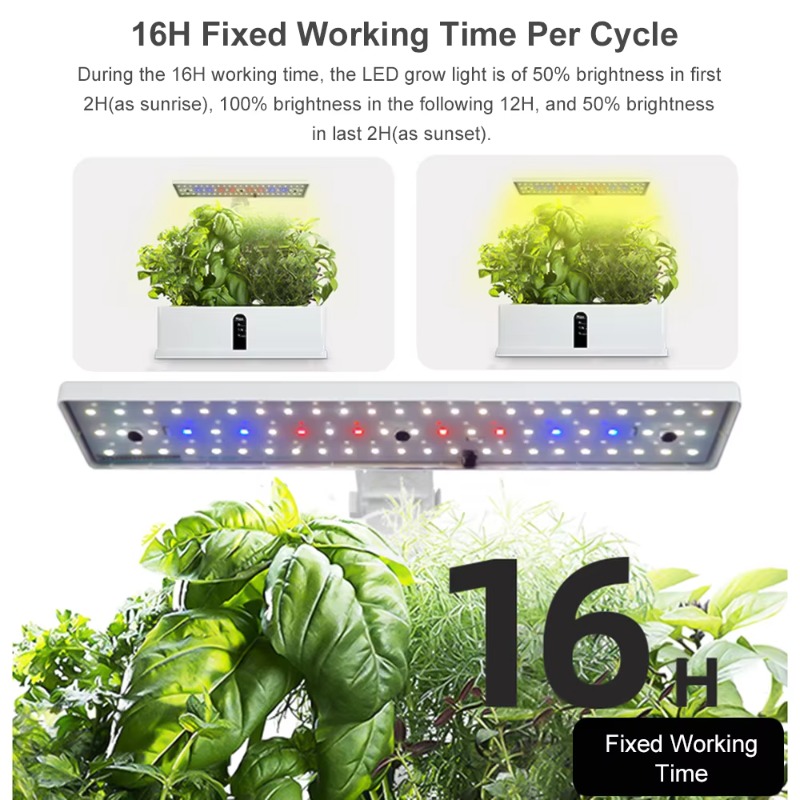 Sistema de Cultivo Hidropônico - Smart Garden avaliação e preço