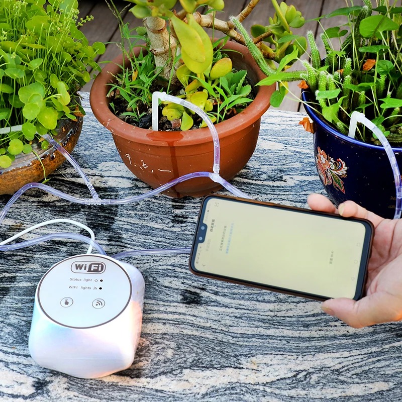 Wifi preguiçoso conjunto de re - Smart Garden Iot avaliação e preço