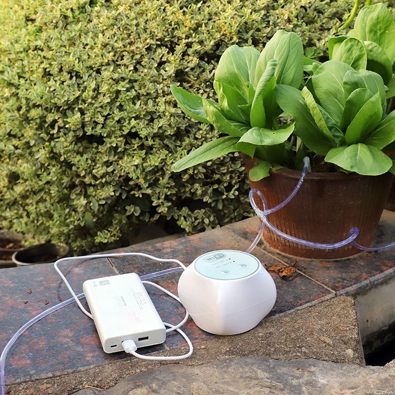 Wifi preguiçoso conjunto de re - Smart Garden Iot avaliação e preço